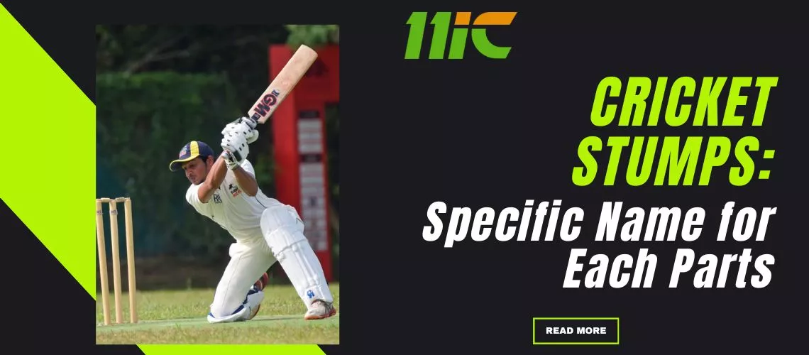 cricket stumps